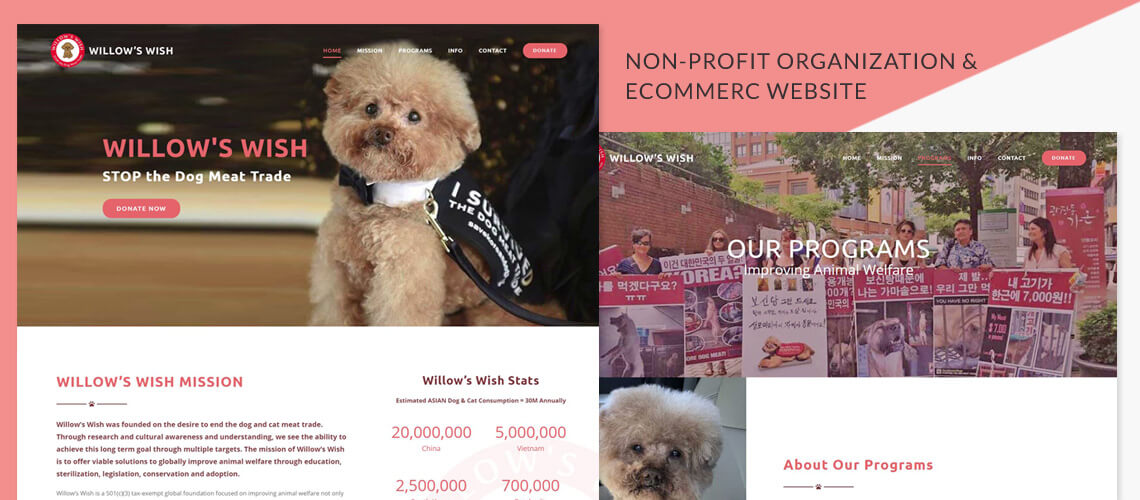 Willow's Wish - Non-Profit Organization & Ecommerce Website Design