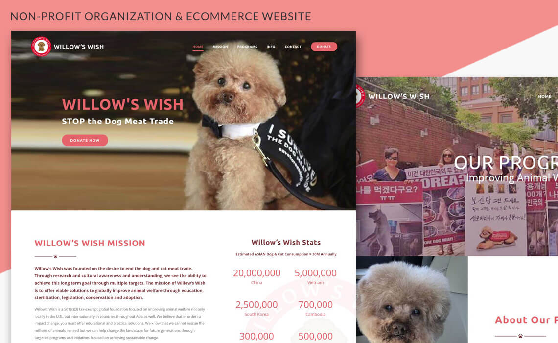 Willow's Wish - Responsive Non-Profit Organization Website Design